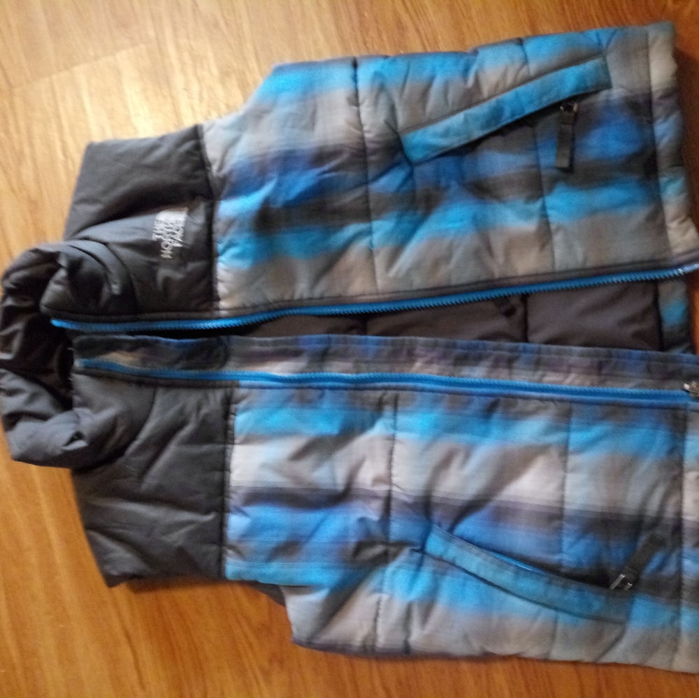 The north face vest